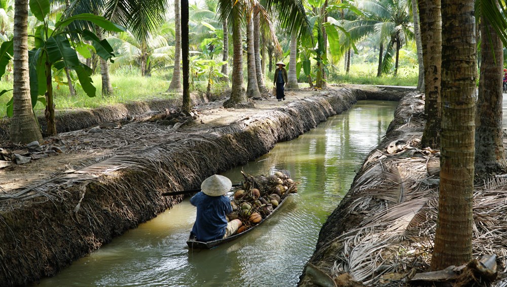 Bà Già đi Bụi Và Giấc Mơ Ra Rạp